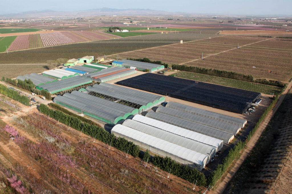 Viveros vista dron 01